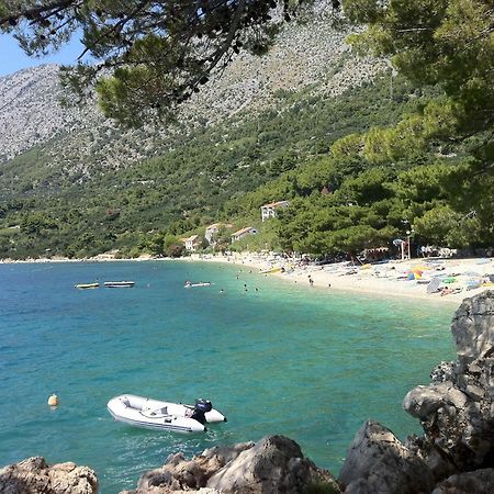 Apartments Vile Holiday Živogošće Extérieur photo