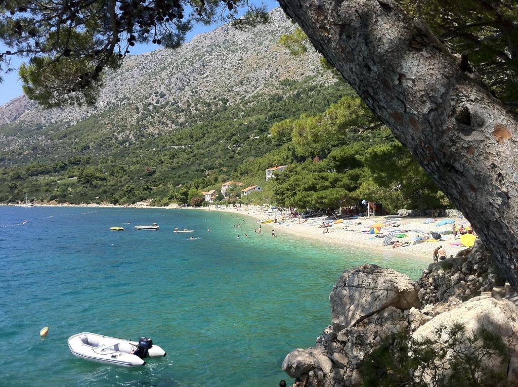 Apartments Vile Holiday Živogošće Extérieur photo